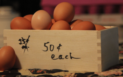Combatting Inflation with Jake Stone