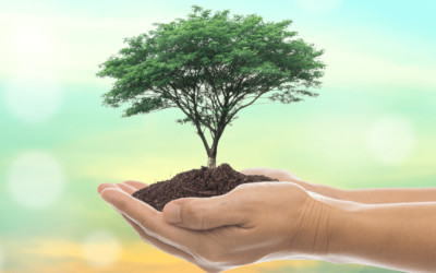 The Idea of Regenerative Wealth with Bryan Doreian